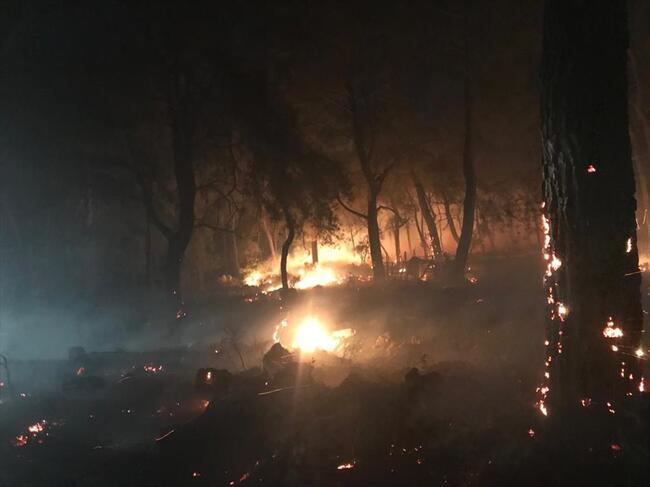Muğla'daki orman yangını tamamen kontrol altına alındı!